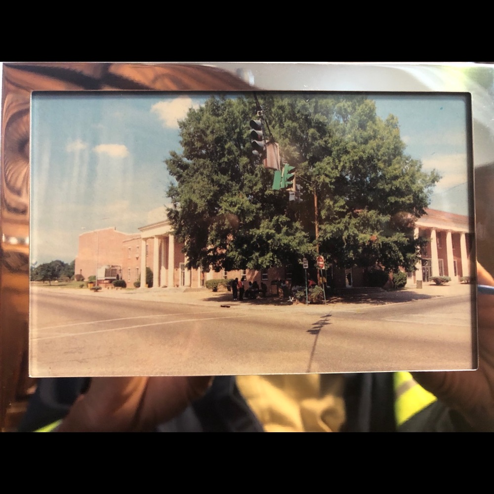 4x6 postcard framed Grambling university the tree